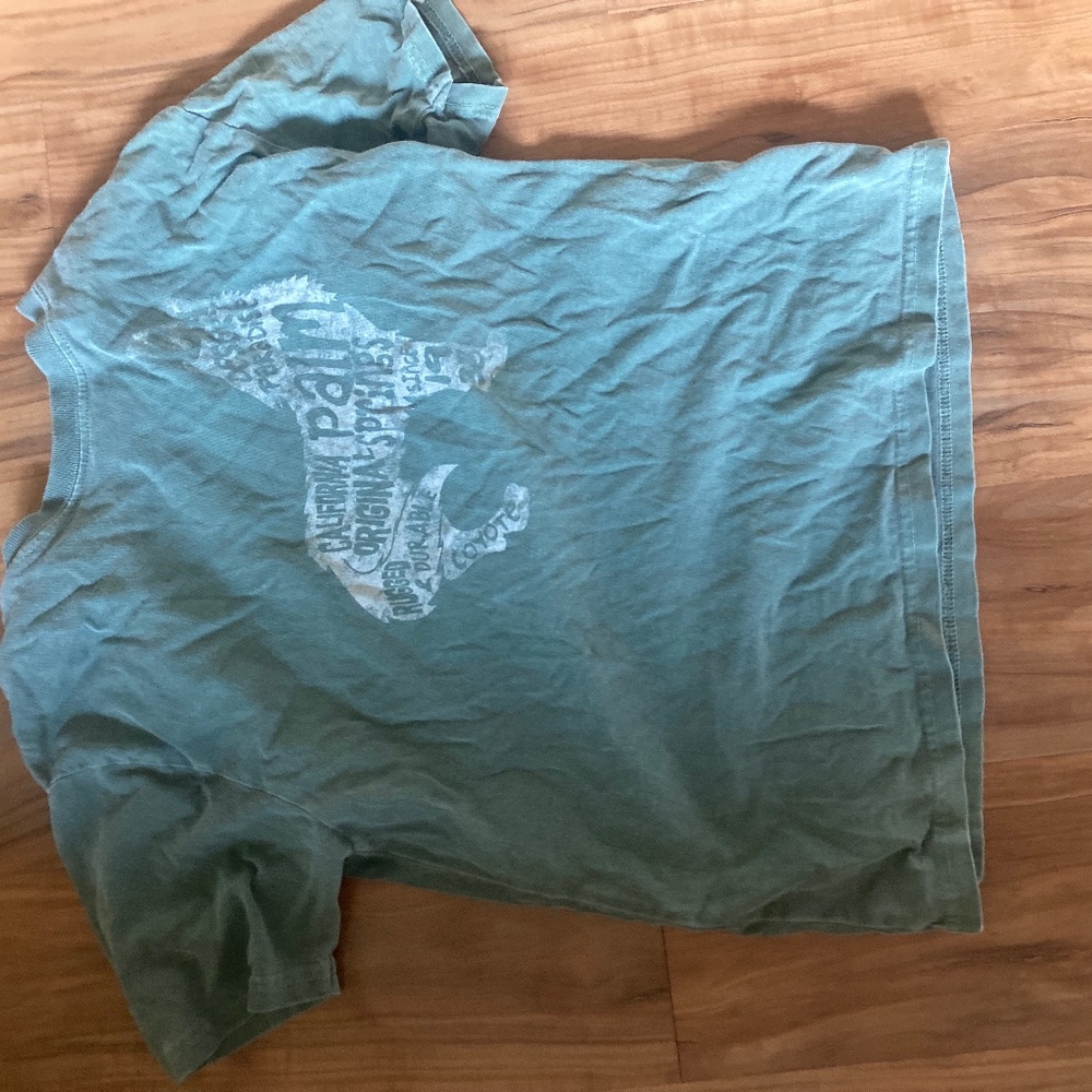 Green palm springs crop shirt